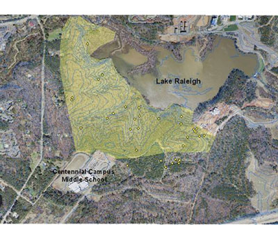 Lake Raleigh Woods
