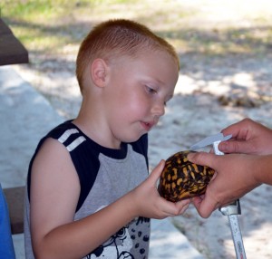 crittercamp-1 