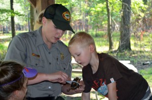 crittercamp 